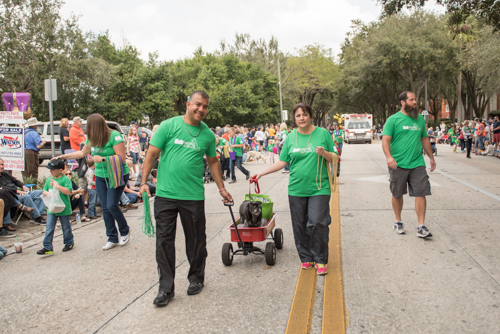 Team Mainstreet walking the parade route at the Mardi Gras dog parade in DeLand